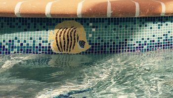 ARTISTIC WATERLINES BANDS by Agape Tile LLC