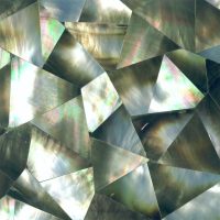 SEASHELL Black Mother of Pearl Random Mosaic Seashell Tile 4x4, Agape Tile LLC